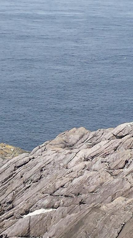 Coulagh Bay House Bed & Breakfast Eyeries Eksteriør bilde